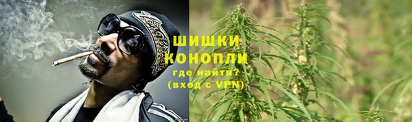 spice Белокуриха