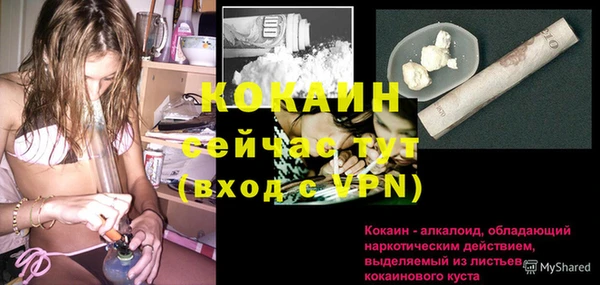 spice Белокуриха