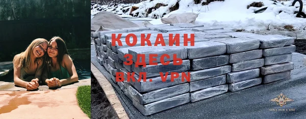 spice Белокуриха