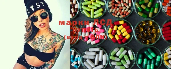 spice Белокуриха