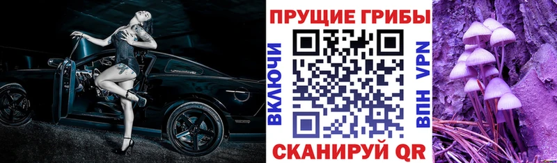 Псилоцибиновые грибы Psilocybine cubensis  Называевск 